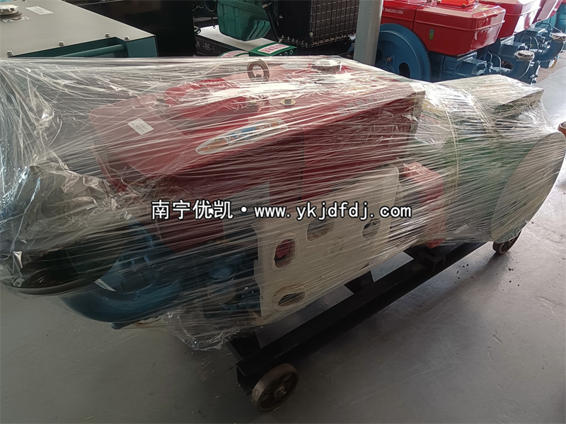 2023年6月10日，20kw單缸柴油發(fā)電機(jī)組發(fā)貨柳州
