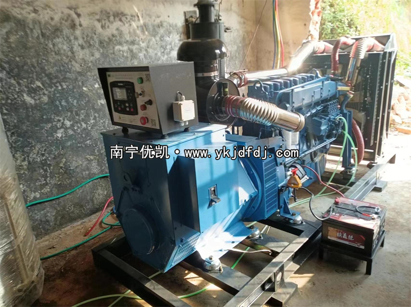 2024年3月5日，200kw濰坊雷納發(fā)電機組某學校到貨安裝